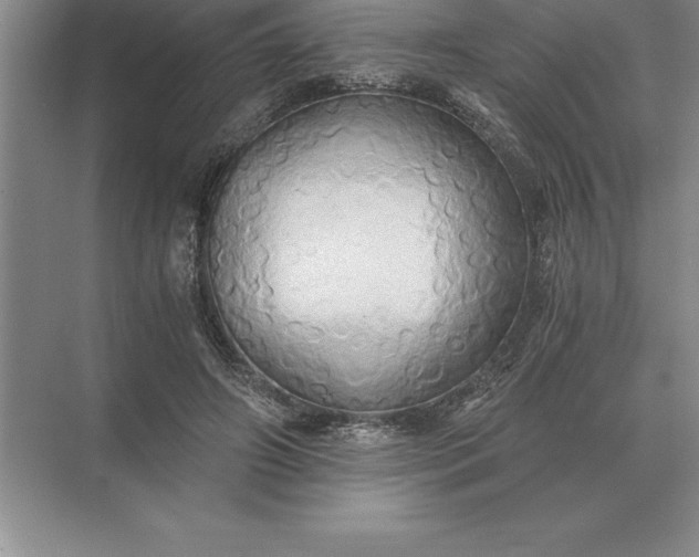 X0000071380498200607071845