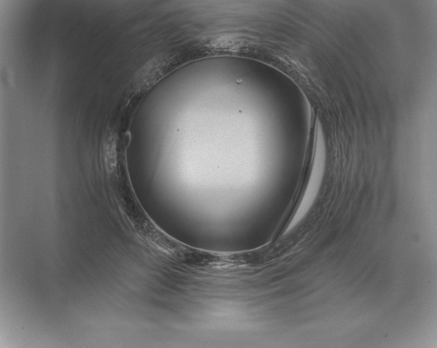 X0000071380504200607071845