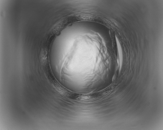 X0000071380507200607071845