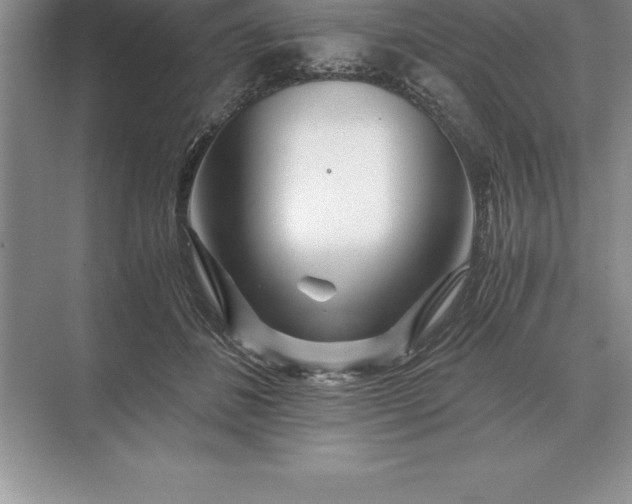 X0000071380508200607071845