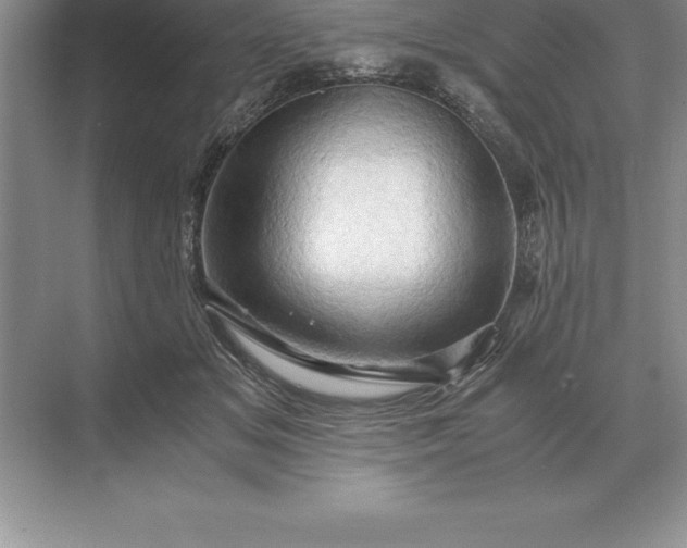 X0000071380509200607071845