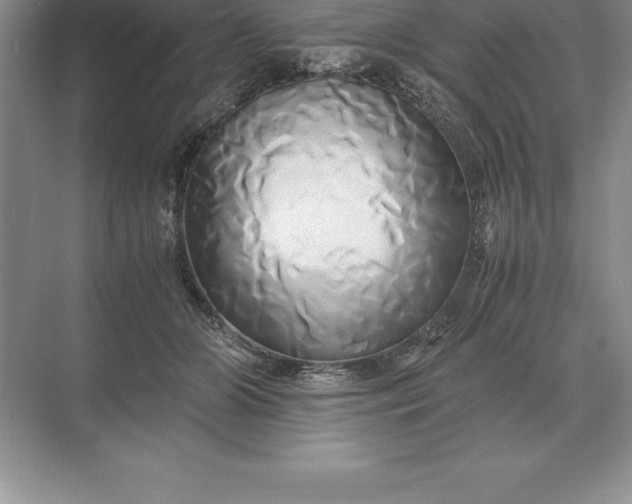 X0000071380510200607071845