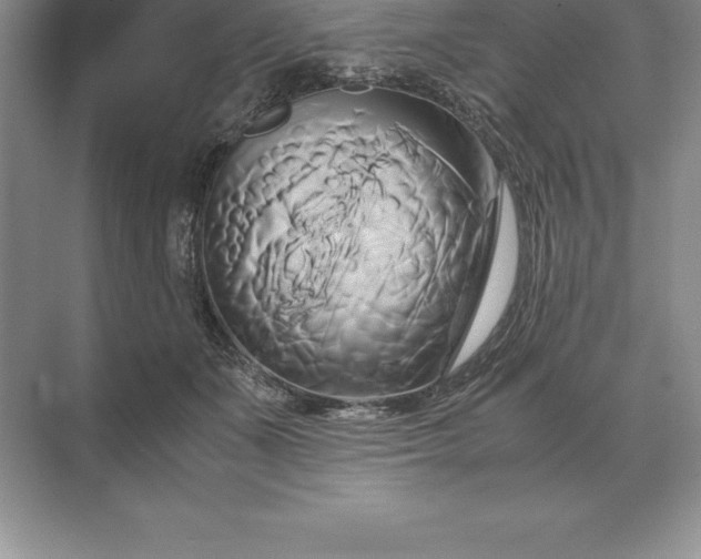 X0000071380511200607071845