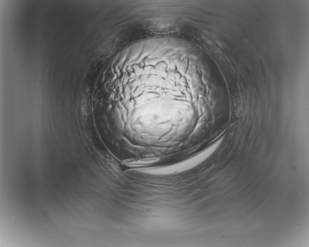 X0000071380515200607071845