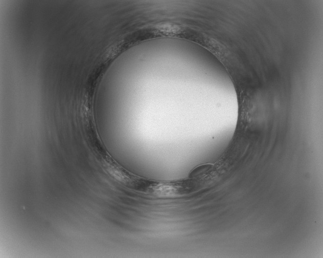 X0000071380518200607071845