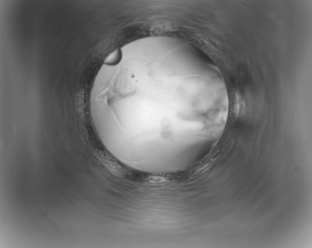 X0000071380519200607071845