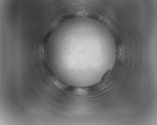 X0000071380522200607071845