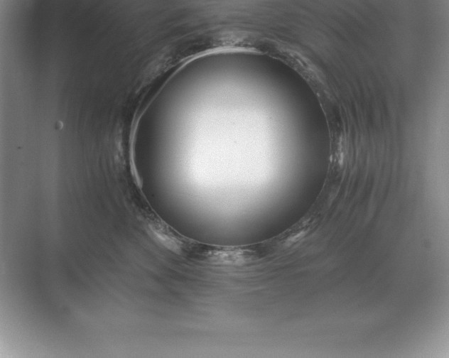 X0000071380524200607071845