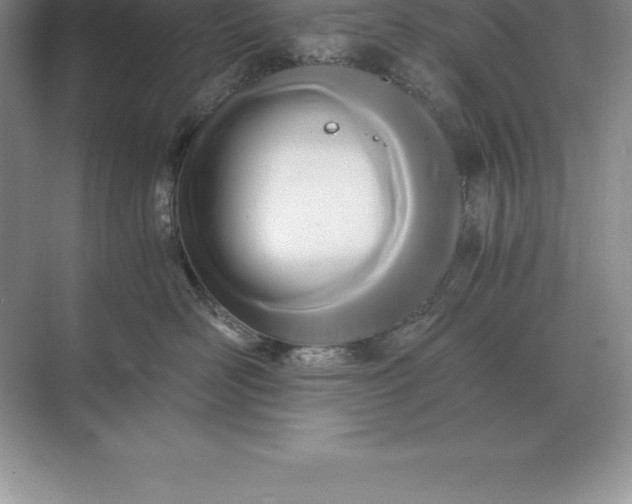 X0000071380526200607071845