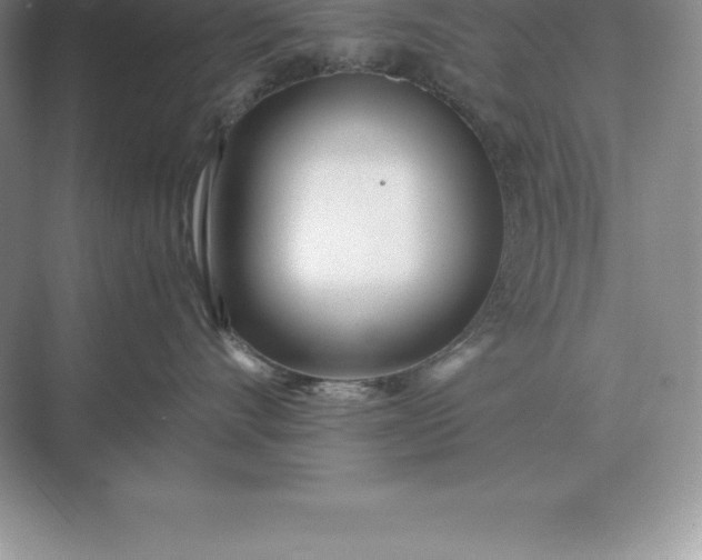 X0000071380528200607071845