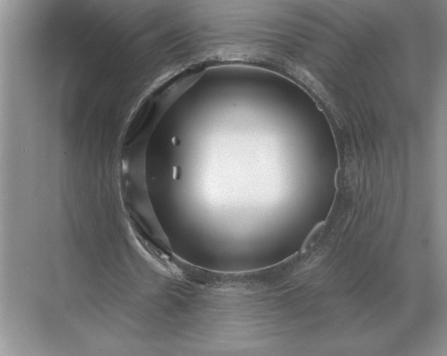 X0000071380530200607071844