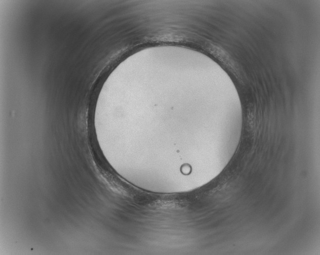 X0000071380534200607071844