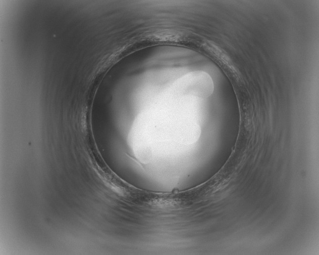 X0000071380537200607071844