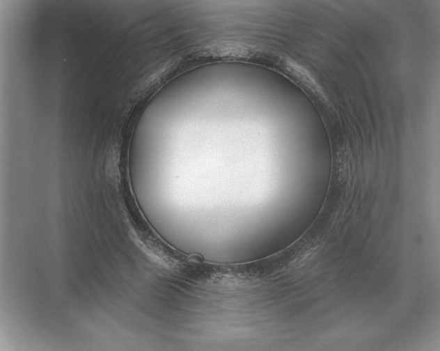 X0000071380538200607071844