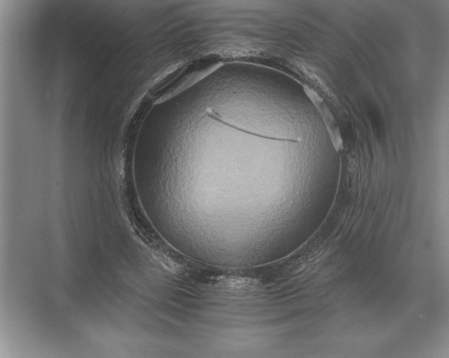 X0000071380539200607071844