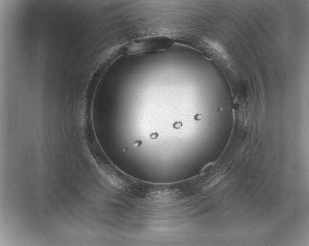 X0000071380540200607071844