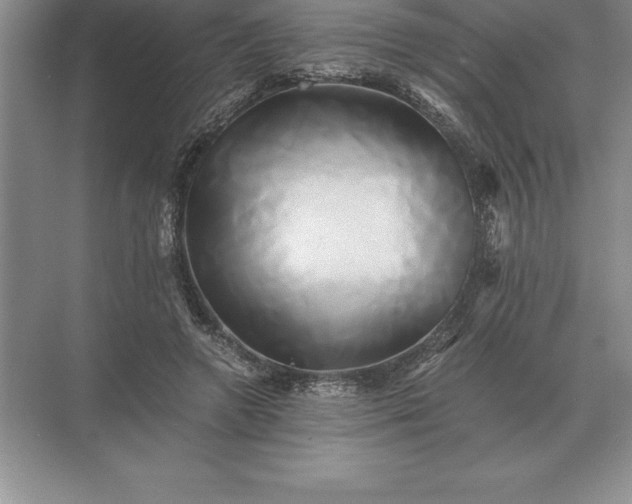 X0000071380546200607071844