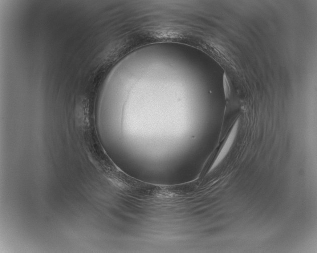 X0000071380547200607071844