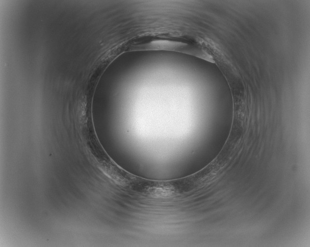 X0000071380548200607071844