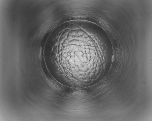 X0000071380550200607071844