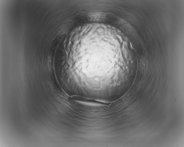 X0000071380557200607071844