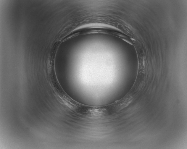 X0000071380558200607071844