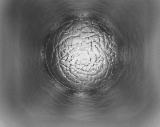 X0000071380561200607071844