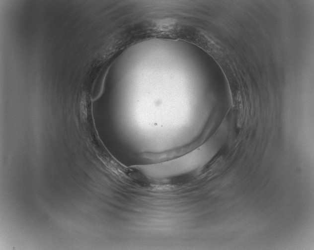 X0000071380562200607071844