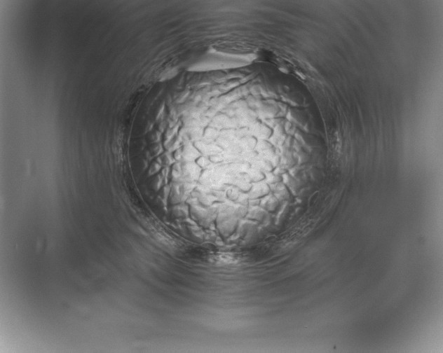 X0000071380565200607071844