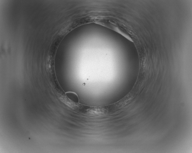 X0000071380567200607071844