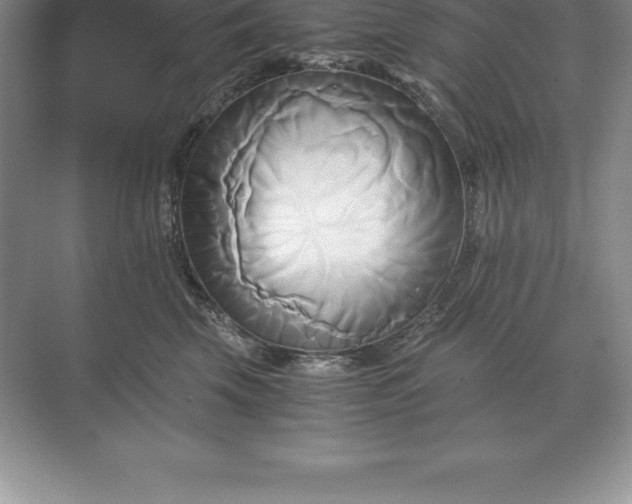 X0000071380569200607071844