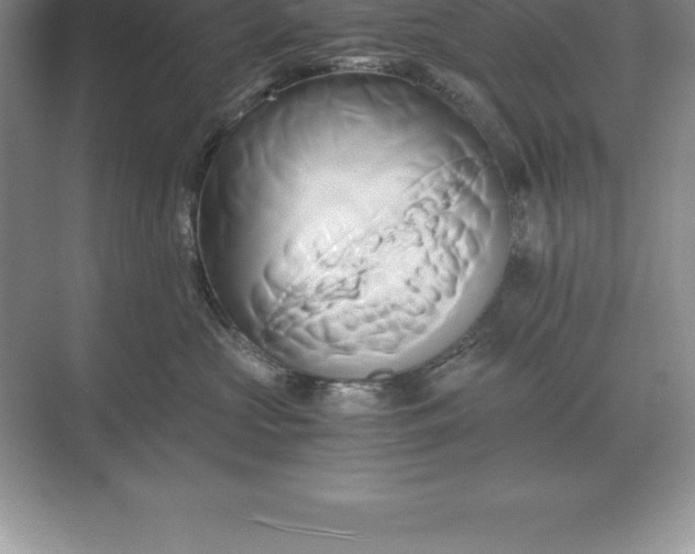 X0000071380573200607071845