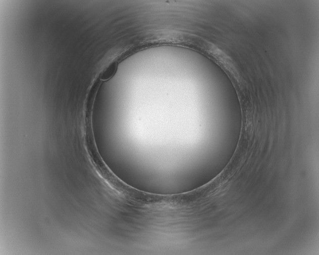 X0000071380578200607071844