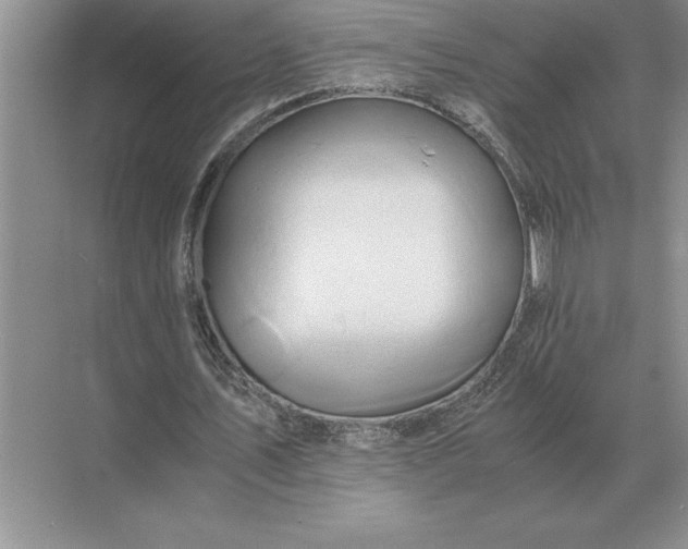 X0000071380579200607071844