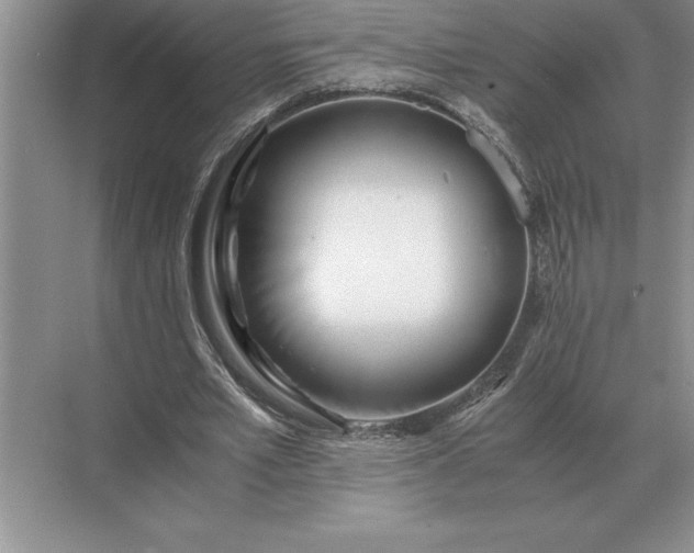 X0000071380581200607071844