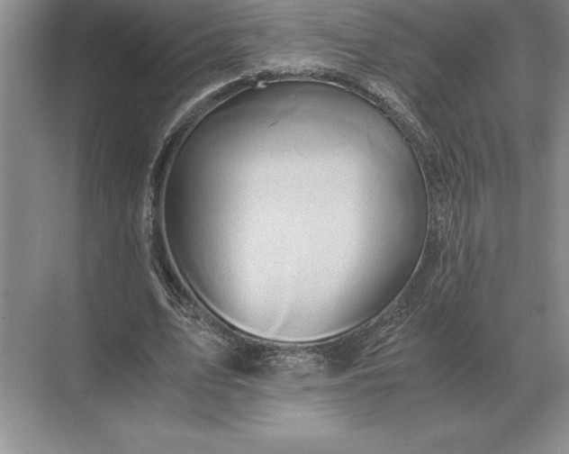 X0000071380583200607071844