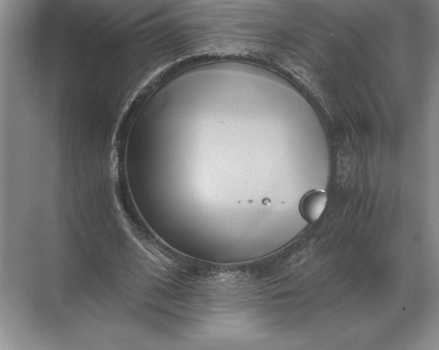 X0000071380584200607071844