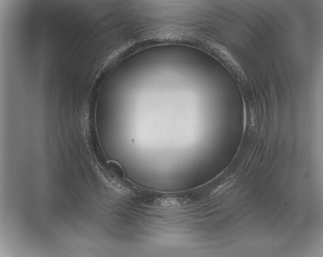 X0000071380588200607071844