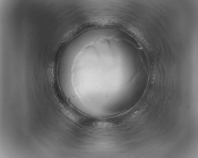 X0000071380590200607071844