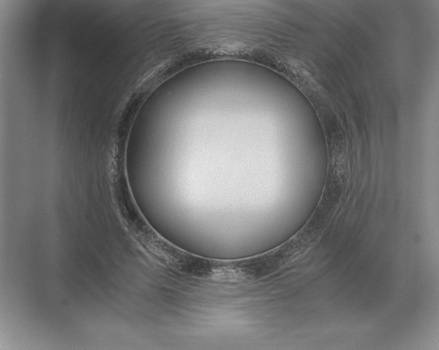 X0000071380591200607071844