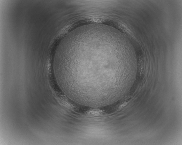 X0000071380595200607071843