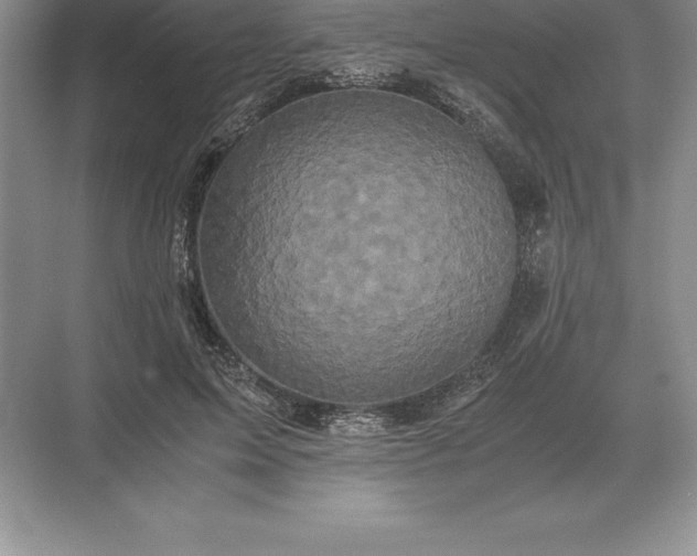 X0000071380599200607071843