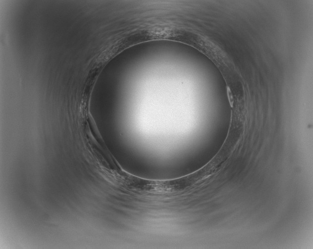 X0000071380601200607071843