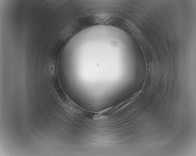 X0000071380602200607071843