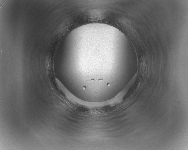 X0000071380608200607071843