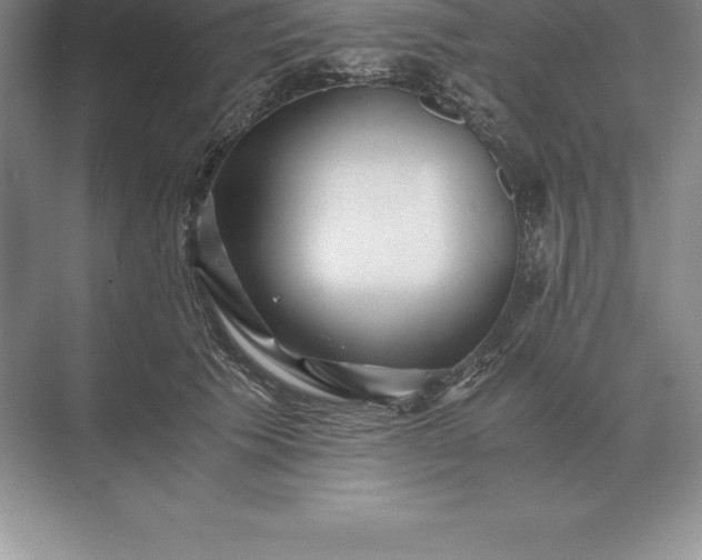 X0000071380609200607071843