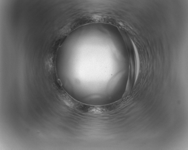 X0000071380611200607071843