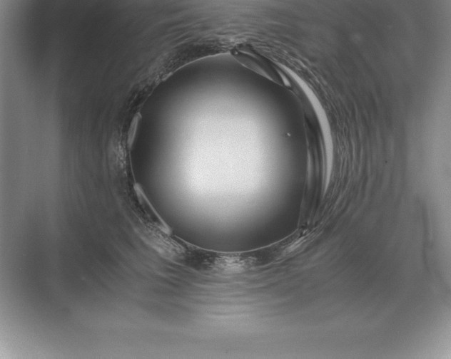 X0000071380613200607071843