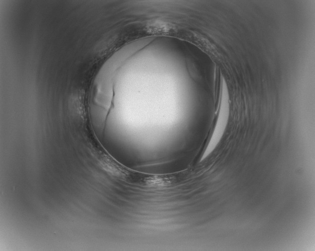 X0000071380616200607071843