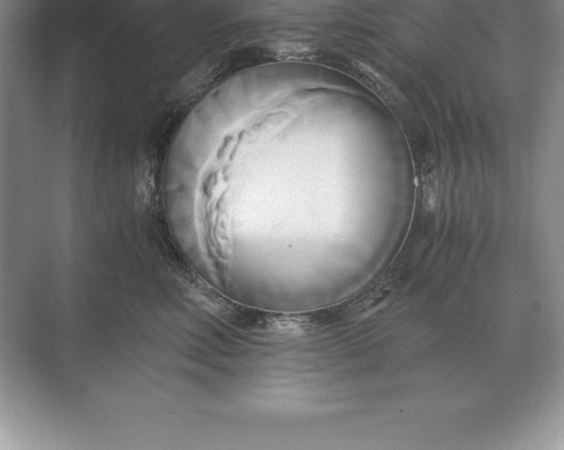 X0000071380618200607071843